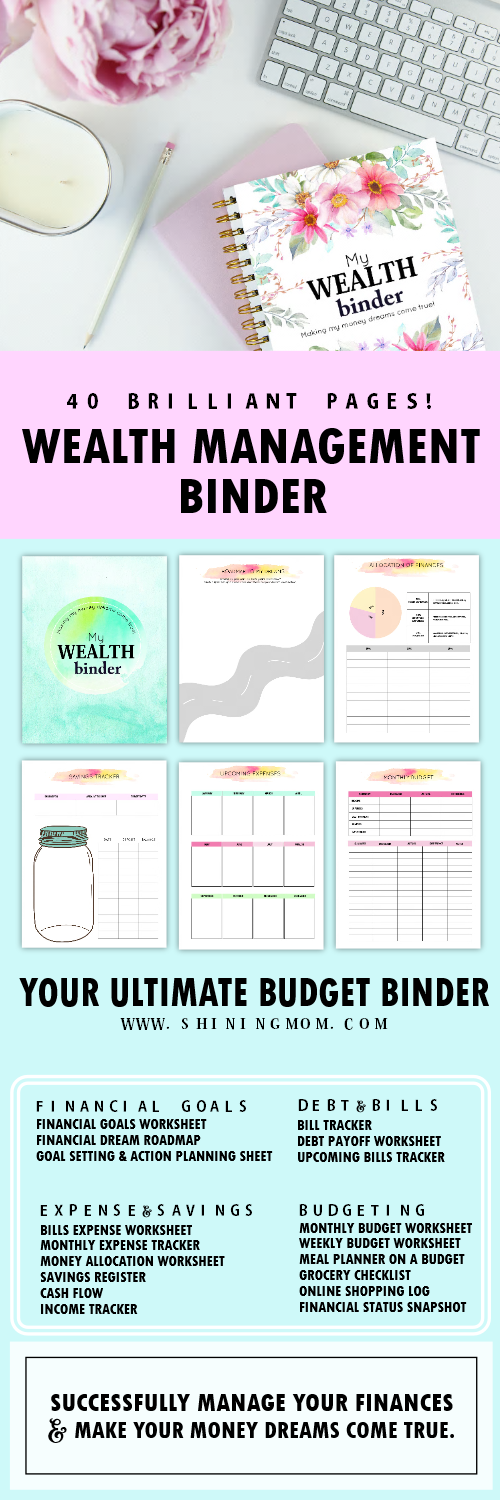 My Wealth Binder